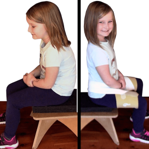 Theratog Sit-Up System